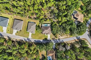 11 Heuchera Ct E, Homosassa, FL 34446 - Photo 53