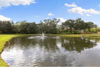 12305 Twin Branch Acres Road, Tampa, FL 33626 - Photo 47