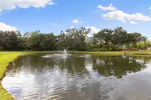 12305 Twin Branch Acres Rd, Tampa, FL 33626 - Photo 47