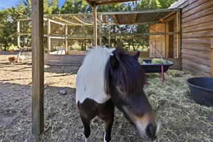 3752 Old Keystone Rd, Tarpon Springs, FL 34688 - Photo 67