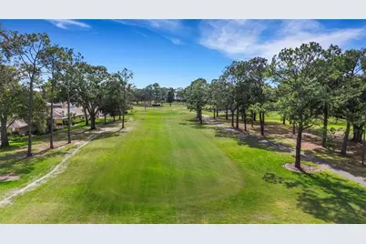 1601 W Dorchester Drive, Palm Harbor, FL 34684 - Photo 67