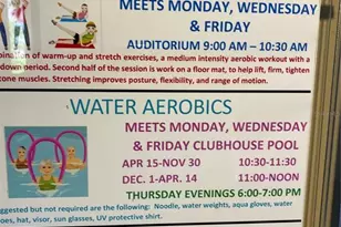 2740 Highlands Blvd, Palm Harbor, FL 34684 - Photo 87