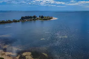 203 Tarpon Point, Tarpon Springs, FL 34689 - Photo 41