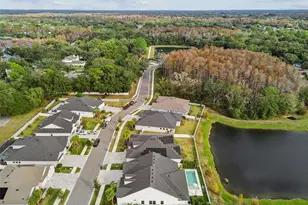 6207 Nikki Ln, Odessa, FL 33556 - Photo 47