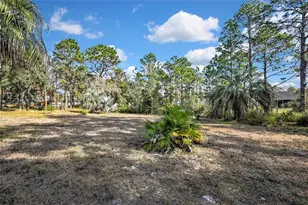11346 Labrador Duck Rd, Weeki Wachee, FL 34614 - Photo 49