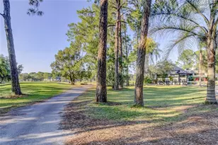 3773 Pendlebury Dr, Palm Harbor, FL 34685 - Photo 59