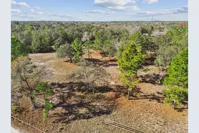 14459 Coyote Road, Hudson, FL 34669 - Photo 21