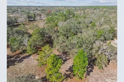 14459 Coyote Road, Hudson, FL 34669 - Photo 53