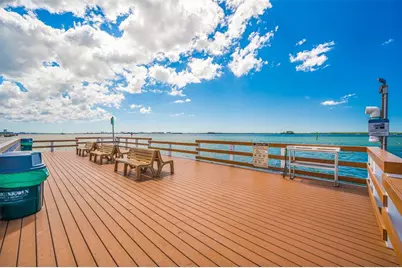 1101 Granada Street, Clearwater, FL 33755 - Photo 65