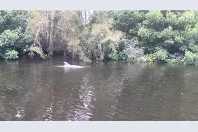 201 79th Avenue NE, Saint Petersburg, FL 33702 - Photo 65