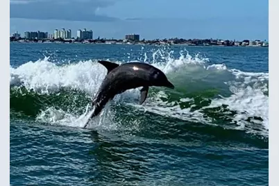 5200 Brittany Dr. S #1510, Saint Petersburg, FL 33715 - Photo 55