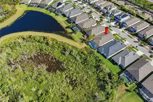 5557 Silver Sun Dr, Apollo Beach, FL 33572 - Photo 41