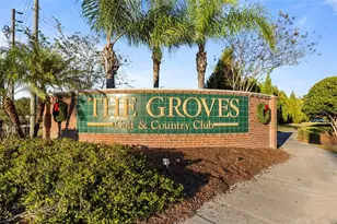 20907 Tangor Rd, Land O Lakes, FL 34637 - Photo 29