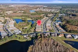 20907 Tangor Rd, Land O Lakes, FL 34637 - Photo 47