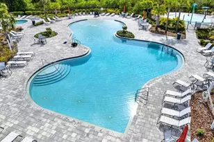 33018 Frosted Clover Wy, Wesley Chapel, FL 33545 - Photo 45
