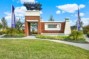33018 Frosted Clover Wy, Wesley Chapel, FL 33545 - Photo 35