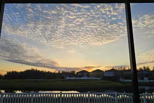 19415 Paddock View Dr, Tampa, FL 33647 - Photo 45