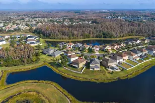 19415 Paddock View Dr, Tampa, FL 33647 - Photo 49