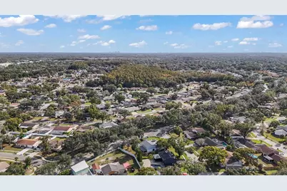 16303 Calidonia Lane, Tampa, FL 33624 - Photo 11