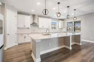 33091 Sycamore Leaf Dr, Wesley Chapel, FL 33545 - Photo 11