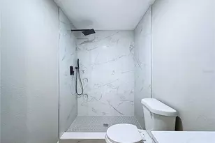 1621 7th Ave N, Saint Petersburg, FL 33713 - Photo 53