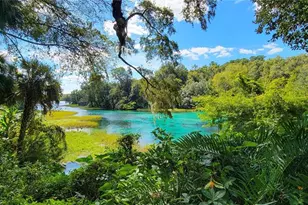 10257 SW 193rd Ct, Dunnellon, FL 34432 - Photo 61