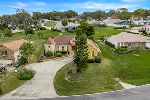 1207 Overlook Rd, Eustis, FL 32726 - Photo 35