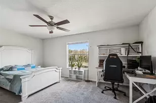 9230 Zincoe Ln, Land O Lakes, FL 34638 - Photo 35