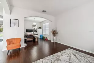 9230 Zincoe Ln, Land O Lakes, FL 34638 - Photo 7