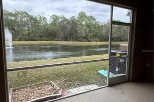 18919 Duquesne Dr, Tampa, FL 33647 - Photo 41