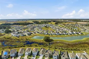 10919 Penny Gale Loop, San Antonio, FL 33576 - Photo 41