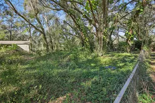 10706 Magnolia Dr, Thonotosassa, FL 33592 - Photo 39