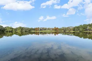 10819 86th Ave, Seminole, FL 33772 - Photo 49