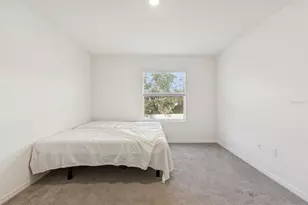 34267 Sorrel Mint Dr, Wesley Chapel, FL 33543 - Photo 41