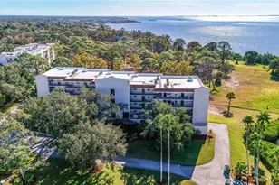 504 S Florida Ave, Tarpon Springs, FL 34689 - Photo 53