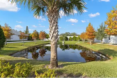 26 Concord Drive, Dunedin, FL 34698 - Photo 49