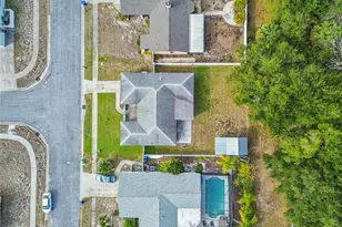 2907 Narcissus Dr, Holiday, FL 34691 - Photo 53