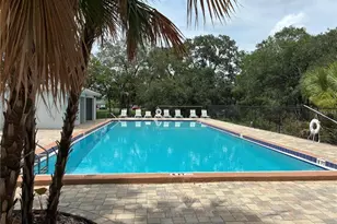 4131 Dolphin Dr, Tampa, FL 33617 - Photo 25