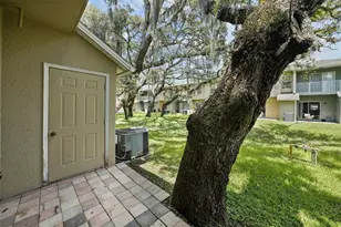 5814 Nature Terrace Cove, Tampa, FL 33617 - Photo 43