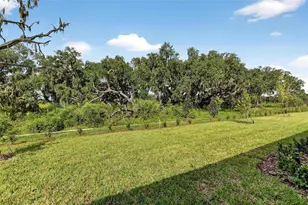 4027 Westwood Fields Loop, Plant City, FL 33565 - Photo 47