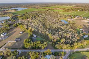 3719 Moores Lake Rd, Dover, FL 33527 - Photo 27