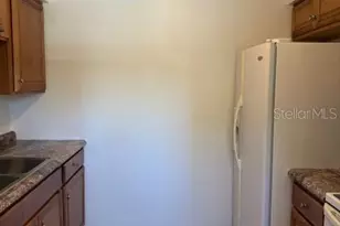 3716 Desoto, Palm Harbor, FL 34683 - Photo 9