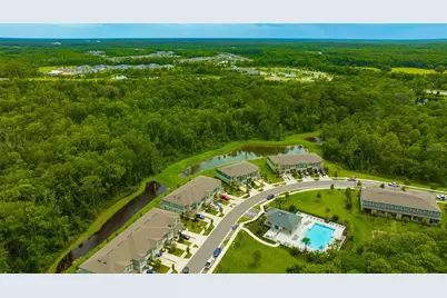 17741 Tawny Malt Pl, Land O Lakes, FL 34638 - Photo 39