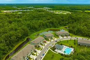 17741 Tawny Malt Pl, Land O Lakes, FL 34638 - Photo 39