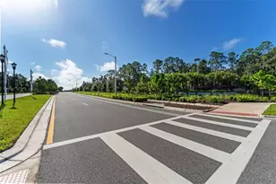 5454 Blue Azure Dr, Wimauma, FL 33598 - Photo 21