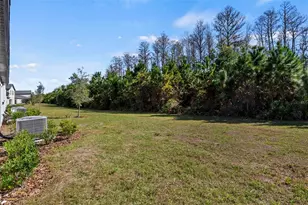 16890 Forge Surf St, Land O Lakes, FL 34638 - Photo 35