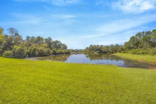 16323 Bridgewalk Dr, Lithia, FL 33547 - Photo 29
