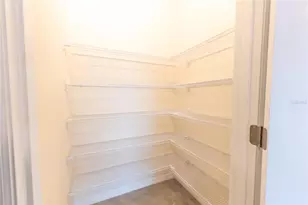 33027 Tulip Petal Ln, Wesley Chapel, FL 33545 - Photo 11