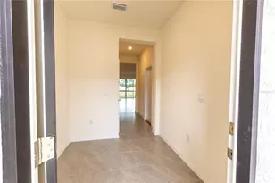 33027 Tulip Petal Ln, Wesley Chapel, FL 33545 - Photo 3