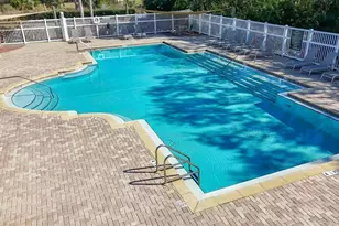 220 Bay Arbor Blvd, Oldsmar, FL 34677 - Photo 71